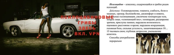ПСИЛОЦИБИНОВЫЕ ГРИБЫ Горнозаводск