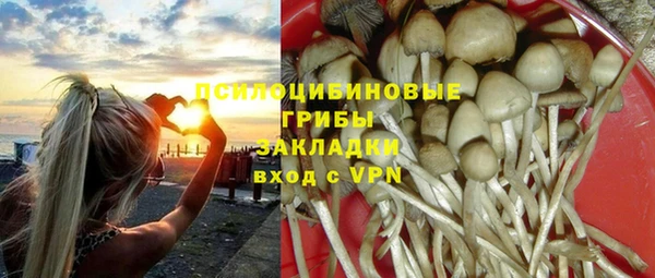 ешки Горно-Алтайск