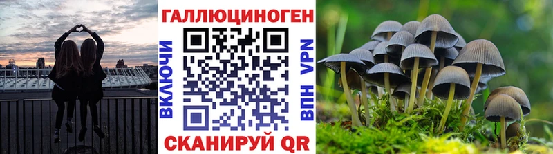 Купить  Элиста  Галлюциногенные грибы Psilocybine cubensis 